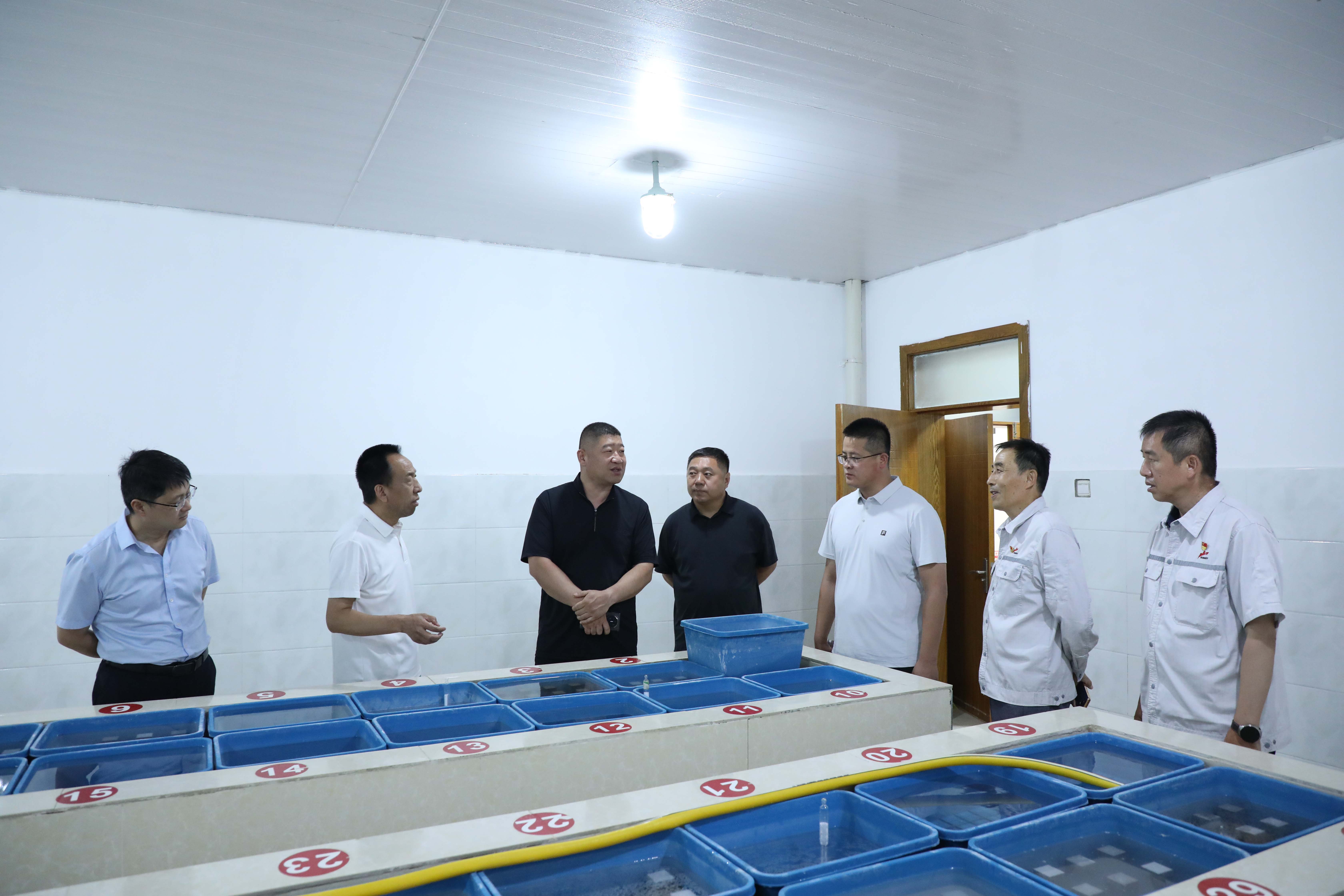 喀什地区招商局党组成员、副局长逄子剑一行到疏勒公司调研 (1)