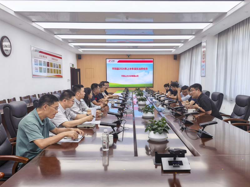 平阴公司11 平阴公司11